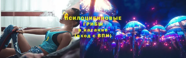 2c-b Алзамай